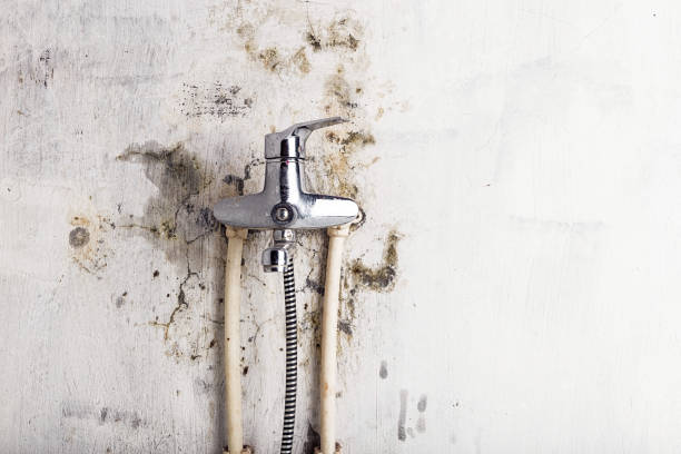 Best Mold Testing  in Edgecliff Village, TX