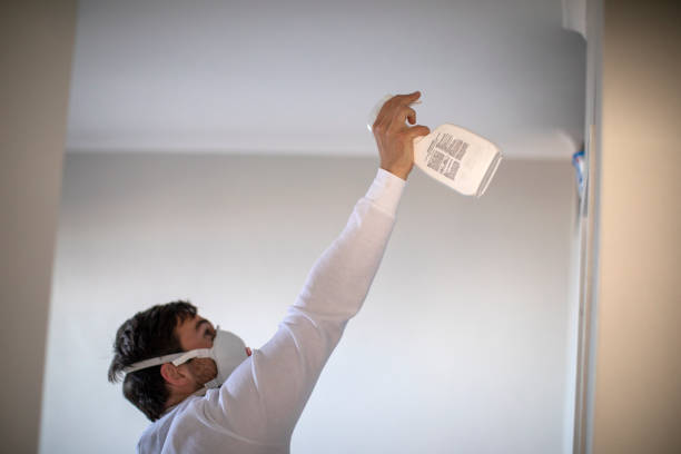 Best Black Mold Removal  in Edgecliff Village, TX