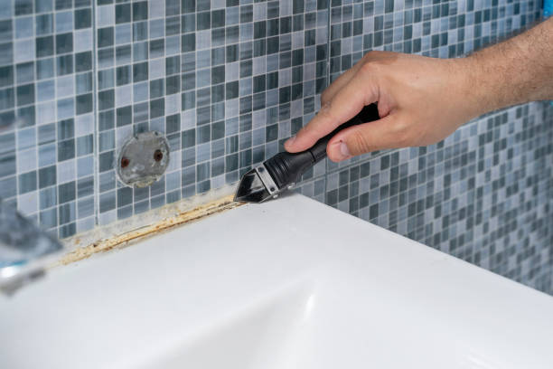 Best Local Mold Removal Service  in Edgecliff Village, TX