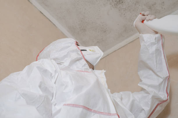 Water Damage Restoration in Edgecliff Village, TX