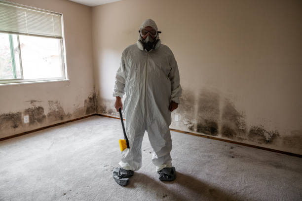 Best Commercial Mold Removal  in Edgecliff Village, TX