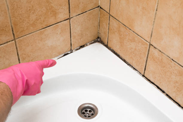 Best Crawl Space Mold Removal  in Edgecliff Village, TX